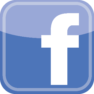 réseau Facebook suivez moi sur Facebook Delahotte o`bijoux